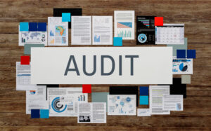 Audit Frequencies by Business Type-HYETECH